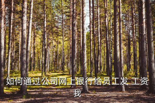 企业农业银行怎么转工资,农业银行企业网银转不了账