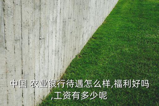 孟州农业银行怎么样,农业银行孟州支行行号