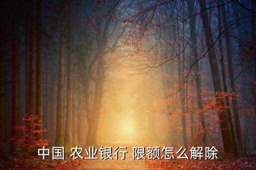 中国 农业银行 限额怎么解除