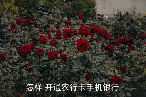 掌上农业怎么开通,农业银行卡怎么开通