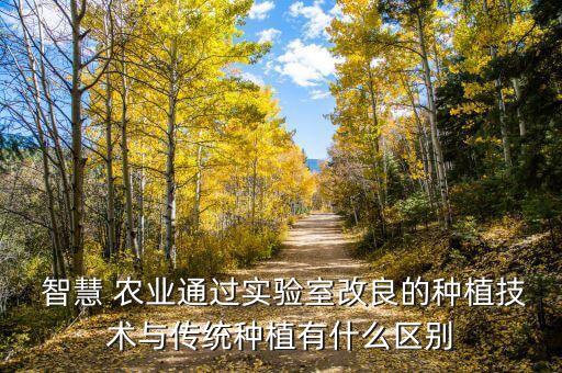 智慧 农业通过实验室改良的种植技术与传统种植有什么区别