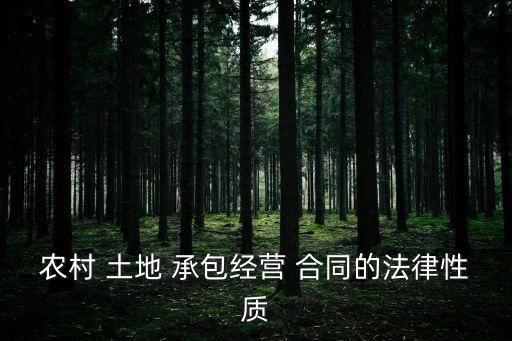 什么叫农业土地承包合同,农村农业土地耕地承包合同第八条