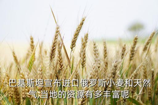 巴基斯坦农业怎么样,去巴基斯坦搞农业可行吗