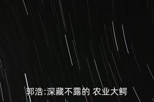 郭浩:深藏不露的 农业大鳄