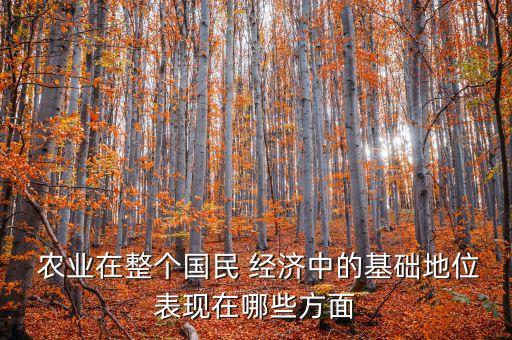  农业在整个国民 经济中的基础地位表现在哪些方面
