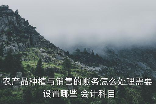 农业企业会计怎么设置,保振波农业企业会计ppt