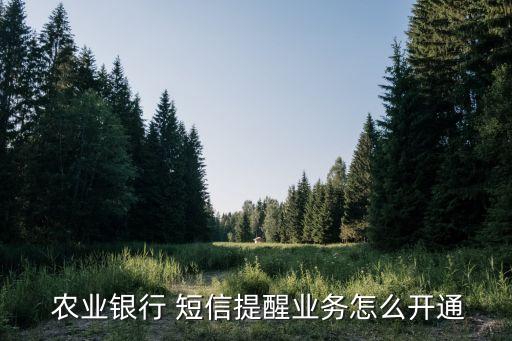 手机农业银行怎么短信激活,农业银行app一直发激活短信
