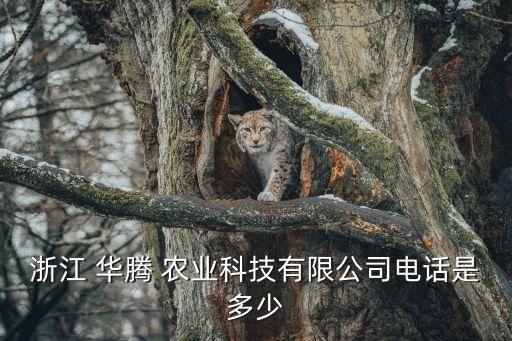 华腾农业的资产怎么样啊