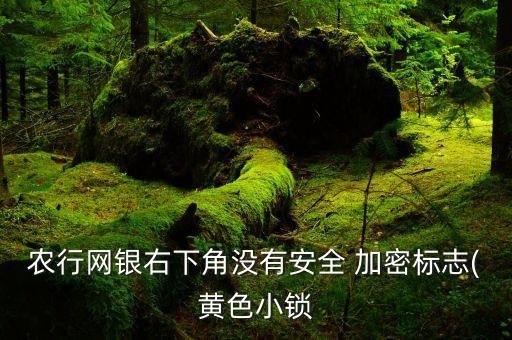 苹果农业银行软件怎么加密