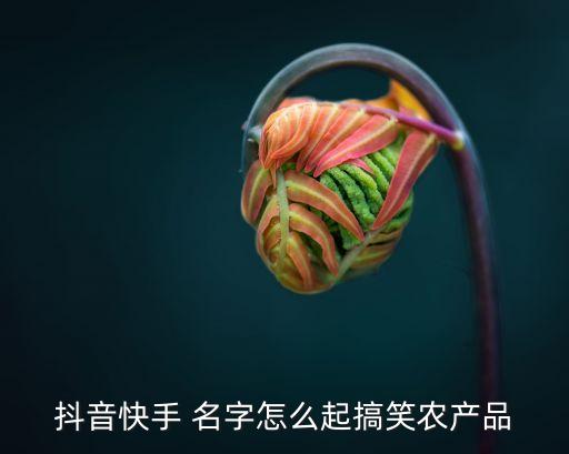 做农业怎么取抖音名字好