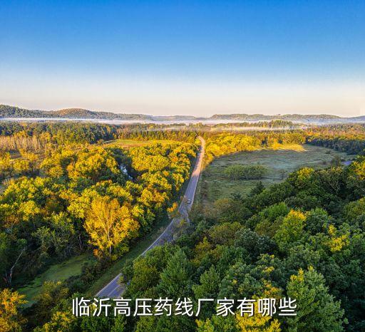  临沂高压药线厂家有哪些
