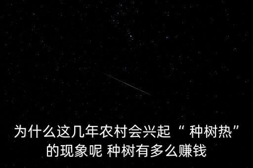 为什么这几年农村会兴起“ 种树热”的现象呢 种树有多么赚钱