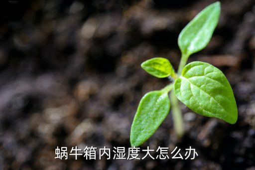 蜗牛箱内湿度大怎么办