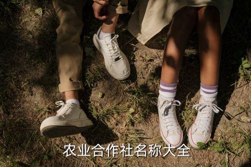  农业合作社名称大全