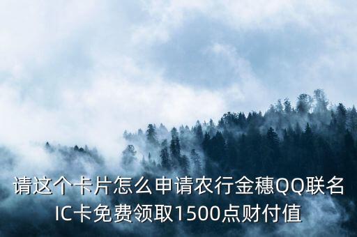 请这个卡片怎么申请农行金穗QQ联名IC卡免费领取1500点财付值