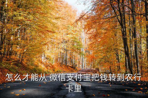 微信怎么转账农业银行,微信转账怎么申诉把钱要回来