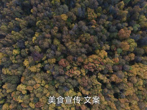  美食宣传 文案