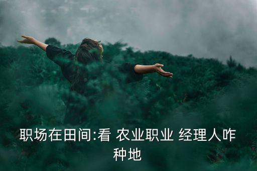 职场在田间:看 农业职业 经理人咋种地