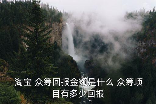  淘宝 众筹回报金额是什么 众筹项目有多少回报
