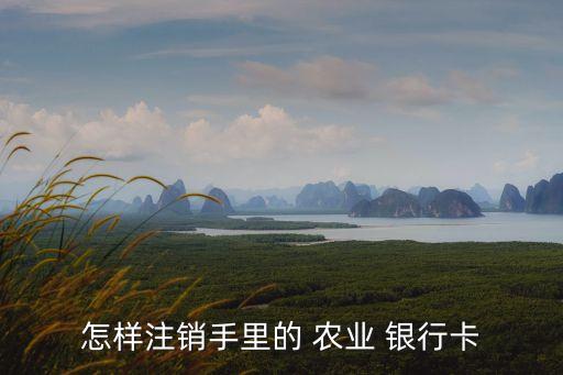 怎样注销手里的 农业 银行卡