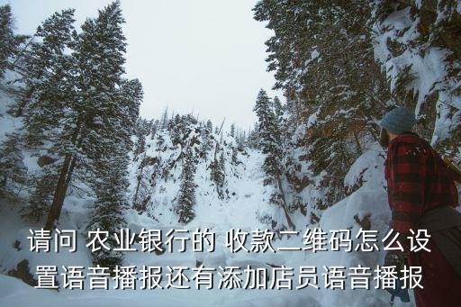 请问 农业银行的 收款二维码怎么设置语音播报还有添加店员语音播报