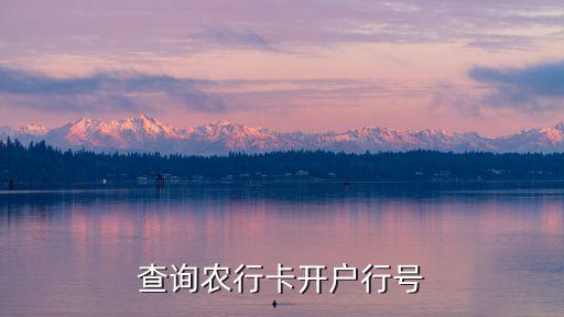 查询农行卡开户行号