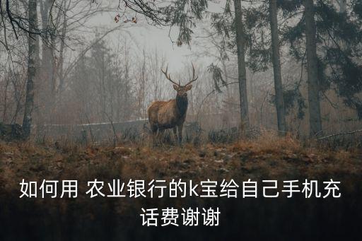 如何用 农业银行的k宝给自己手机充话费谢谢