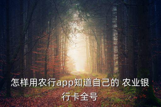 农业银行怎么去查卡号APP,查农业银行卡号开户行