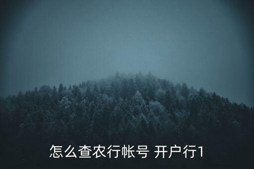 怎么查农行帐号 开户行1