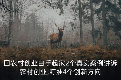 回乡做农业怎么赚钱,农业怎么做才能赚钱