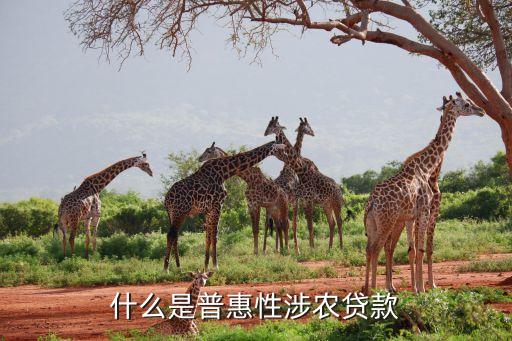 什么是普惠性涉农贷款