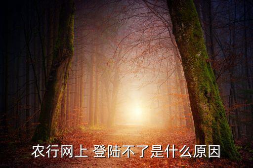 农业银行怎么无法登陆