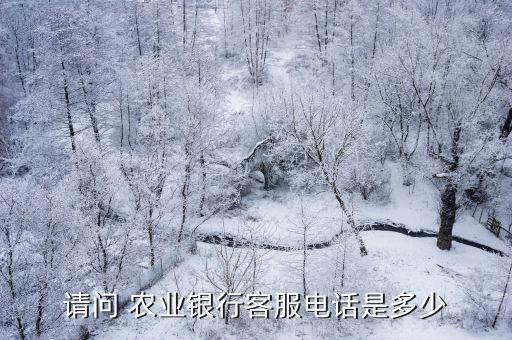 农业银行的客户服务怎么找