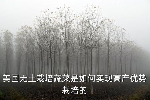美国农业都是施什么肥