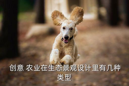 创意农业是什么样的产品,与农业相关的创意产品