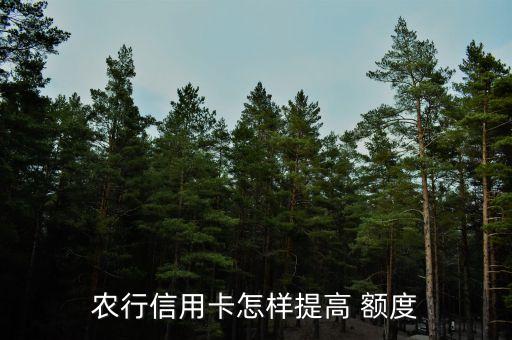 农行信用卡怎样提高 额度
