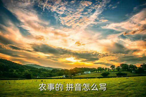 智联农业拼音怎么写,乔安智联,用大写拼音怎么写