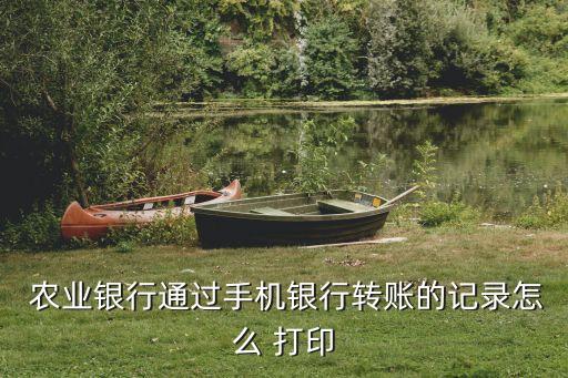 农业银行流水怎么查打印,手机农业银行怎么查流水账单