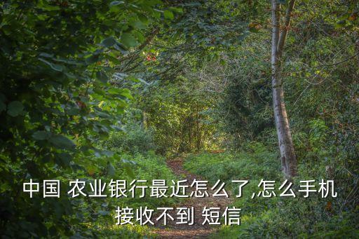 中国 农业银行最近怎么了,怎么手机接收不到 短信
