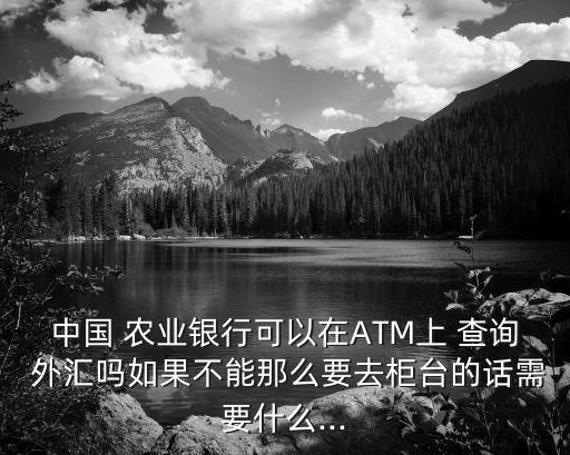 农业银行外汇汇款怎么查询