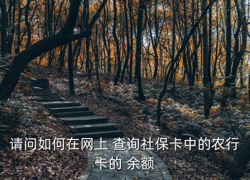 请问如何在网上 查询社保卡中的农行卡的 余额
