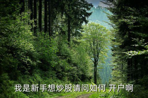 我是新手想炒股请问如何 开户啊