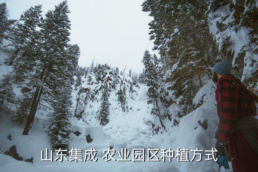 万昌农业园怎么样,泾河智慧农业园怎么样