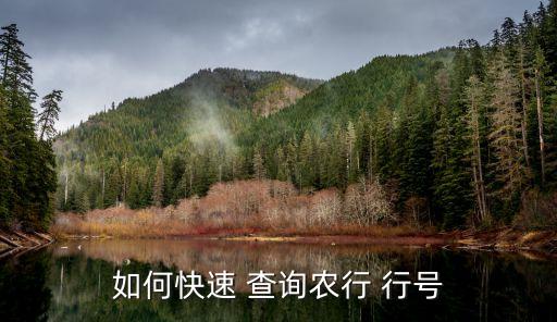 如何快速 查询农行 行号