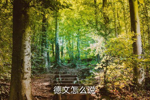德文怎么说