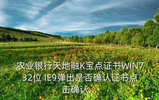  农业银行天地融K宝点证书WIN7 32位 IE9弹出是否确认证书点击确认...