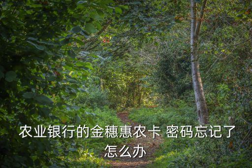 农业补贴密码忘了怎么办