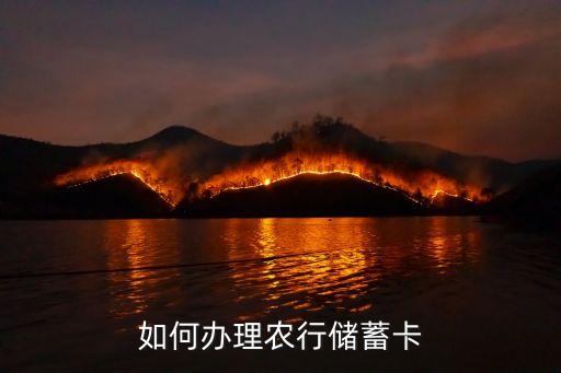 农业银行要怎么办卡