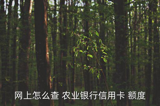农业卡怎么查询额度是多少,怎么查询自己卡的额度