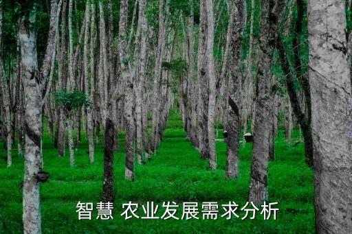  智慧 农业发展需求分析